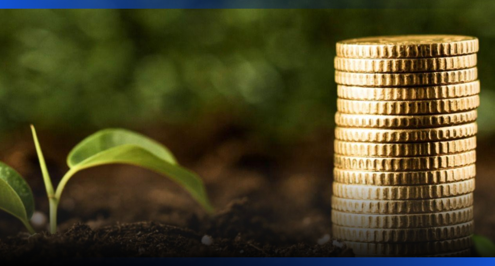 Image for Более 3 тысяч аграриев получили раннее финансирование посевной